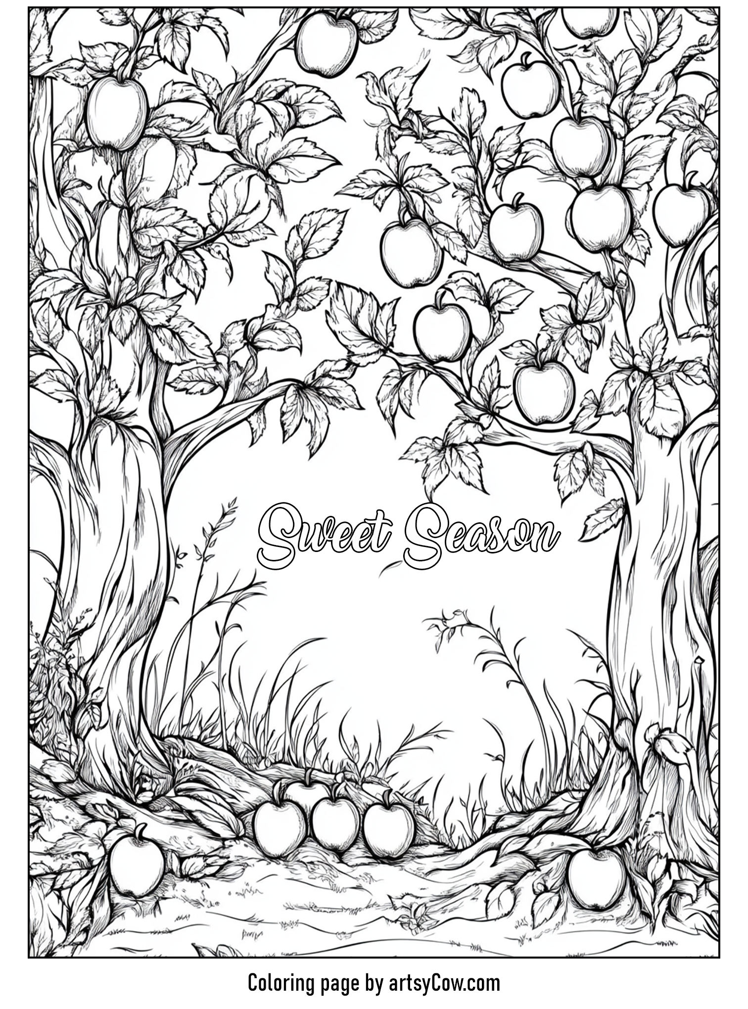 Thanksgiving coloring pages for adults featuring a detailed apple orchard scene with the words 'Sweet Season'. Trees laden with apples form a serene setting ideal for coloring relaxation.